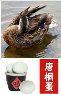 ��ͩ�� ���� �ƺ��خa(ch��n) ���(y��ng)�خa(ch��n) �Y���b20ö �r��  68