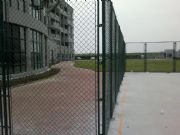 �و��Gɫ���ھW���WУ�w�������o�ھW���و��w�����o���x�W