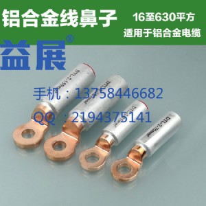 ��|���X�Ͻ𾀱���