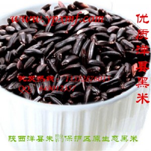 ���|��h���״������lԭ�a�ظߠI�B�rֵ�B������