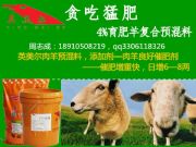 ι������������A������������A����