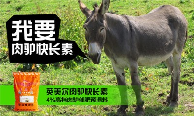 ���H�����A���� Ȧ�B(y��ng)�H�������A����