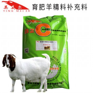 ����߷ʾ������ �B�����ʾ��a��