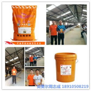 �������H����� �s���H�����������