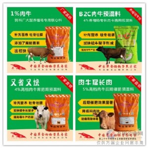 Ӣ����ţ��ϺÆ�Ӣ����ţ������l��