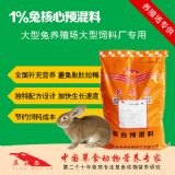 ��ϏS��������Ϻ��������Ӵ���