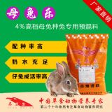 ĸ�ò��l����ô�k ĸ���A����