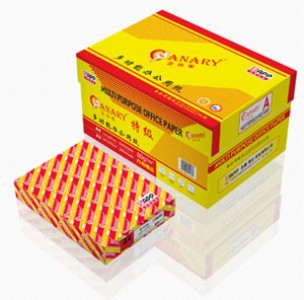 ��zȸ�ؼ�(j��) (a3/ 70g����(f��)ӡ��