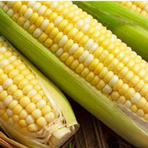 ˮ���������l(f��)