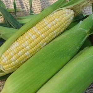 ����ˮ�������N��