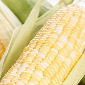 ˮ�������Ԍ�΢�̴���