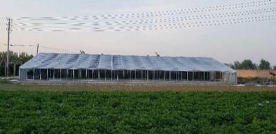 �b��ʽ�����չ����