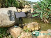 ���� ̫��ܹ����Ȫ