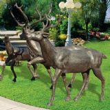 �����@�ֵ���(�D)