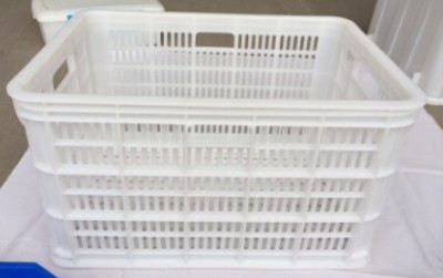 �������Ͽ����ϲ��������D�� �M�����Ͽ�