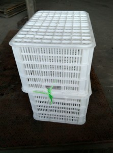 680�߲����D��