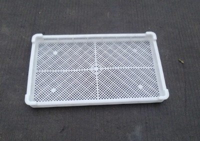 ���u���Ϻ�ɱP��������φ΃���