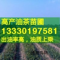 �Ї��߮a�Ͳ�֮�l,�Ͳ����,�V�|�Ͳ���r��