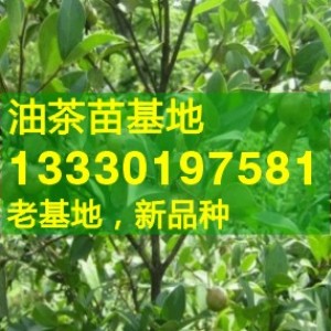 �޽��Ͳ����