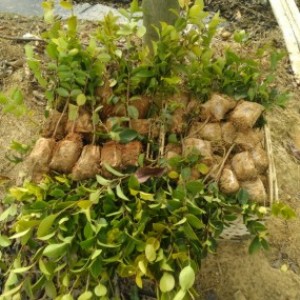 �V���Ͳ���r��,�Ͳ��,�Ͳ輾������