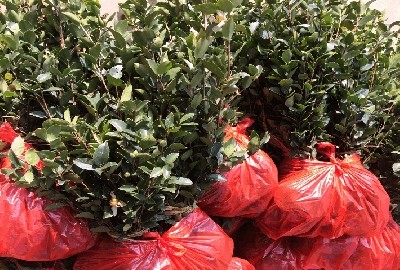 ����t���Ͳ���,�L��4̖��40̖��53̖�Ͳ���