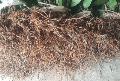 �߮a(ch��n)�޽��Ͳ���,���l(f��)�Ĵ�,����,����,�ؑc,�V��