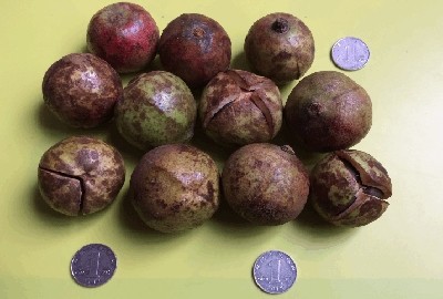 ������ꖼ޽��Ͳ���,�ۖ|,����,���,¡�ظ߮a�Ͳ����r��