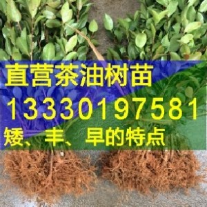 �Ͳ������l(f��)ُ�I,���N�Ͳ���,�Ͳ���r���Ƕ���