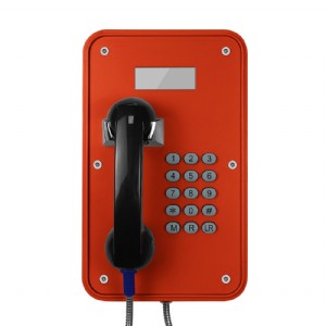 �����Ⱦo���Ԓ���������w�Ԓ �����V���Ԓ