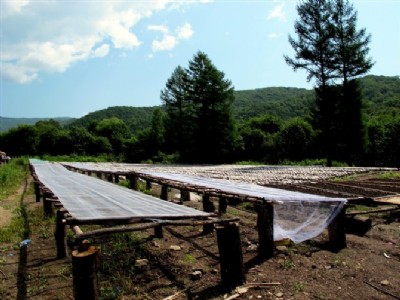 ���}����W