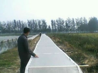 ���ϻ� ����W