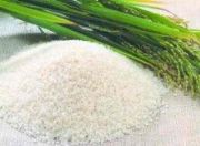 2016�Ϻ������s�Zչ-������ζ