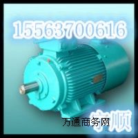 YBϵ�еV�÷���늙C,YB250M-55-4늙C