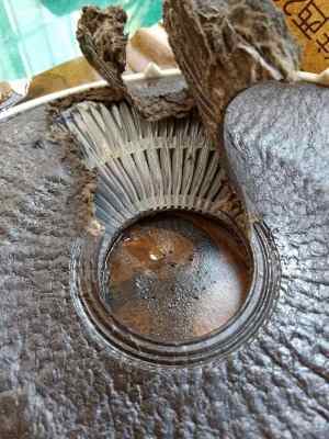 cjc�V�͙C�Vо.�޽q�w�S�Vо