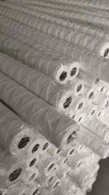 ��՞V�͙C ss-c01s250