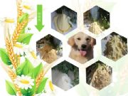 �������̷����a�ӹ�