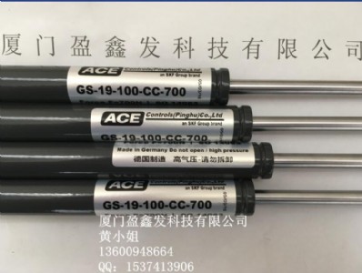 �����F؛����ace֧�ΗUgs-19-100-cc-700n