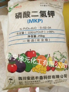 �V���������⛣��r����������