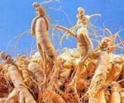 ������������ �������i�R�X�ӉA �R�X��