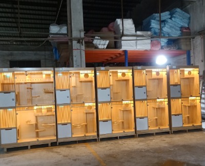 ��(sh��)ľ؈�񣬼��B(y��ng)չʾ�񣬷�����