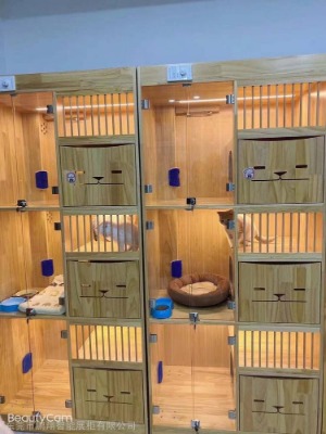 ؈�ግ(sh��)ľ؈�e����؈��a(ch��n)�����B(y��ng)�ͷ�����չʾ��