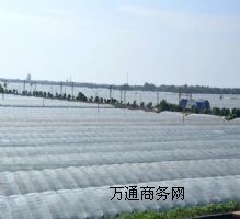 ����(y��ng)��Ʒ����Ĥ����Ĥ�r(ji��)���L(zh��ng)��Ĥ�S�ң����FĤ�S�ң�͸����