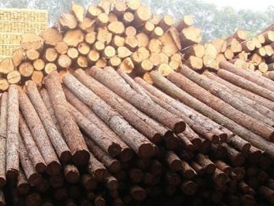 ��ľ��ĵ�����