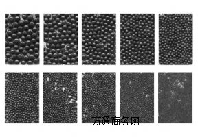 �ɰ�w���γ���ʹĥ�����б��涼�໥��ͨ�Ě�׿�·ϵ�y