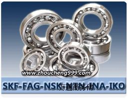 ����ԭ�b�M��FAG RNA69/32A�o��Ȧ�L��S��