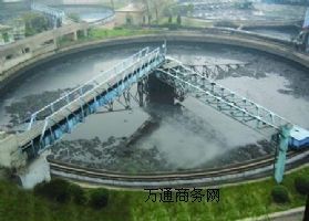 �V�Ô���Ͳ�����ɰ�{����Ͱ�{�{�O�䔇��Ͱ�O��V�Ô����