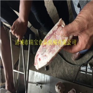 �i������C(j��) ���P��i������C(j��) 250���i������C(j��)