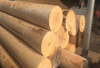 �A���A�_�_�l�ӹ�ɽ�|�H�������R��