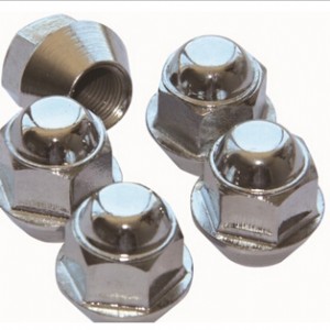 ����(y��ng)܇݆��ĸ