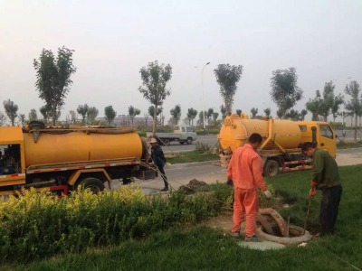 �P�ݳ��������������{����